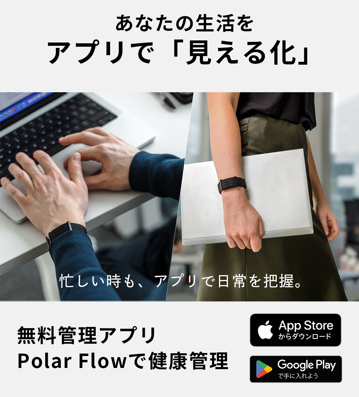 polar loop